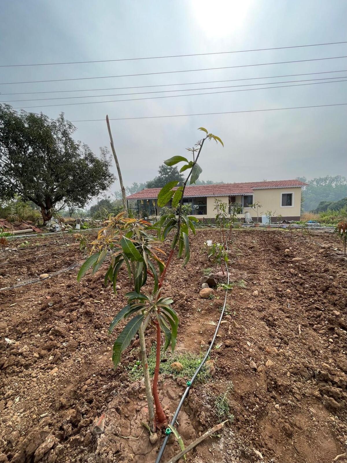 Aj Farms Welhe Exterior foto